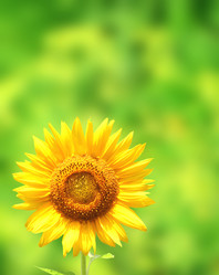 Similar image 7701505