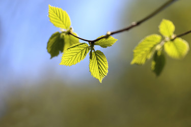 Similar image 7701513