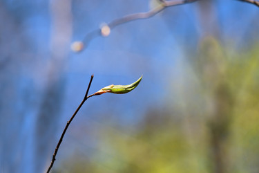 Similar image 7701517