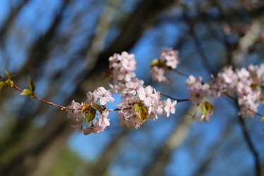 Similar image 7701518