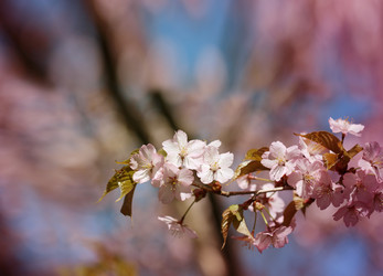 Similar image 7701519