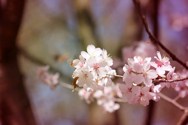 Similar image 7701521