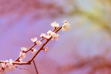 Similar image 7701527