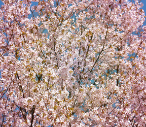 Similar image 7701528