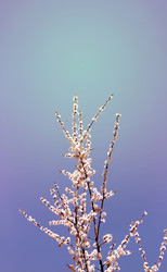 Similar image 7701532