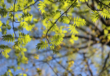 Similar image 7701533