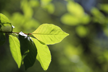 Similar image 7701534