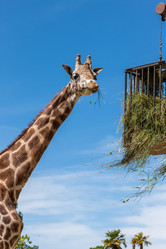 Similar image 7701553