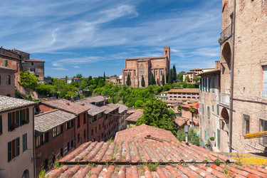 Similar image 7701590