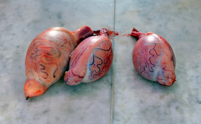 Similar image 7701649