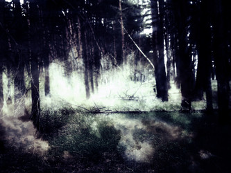 Similar image 7701656