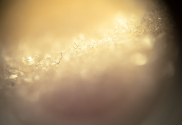 Similar image 7701676