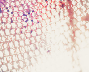 Similar image 7701679