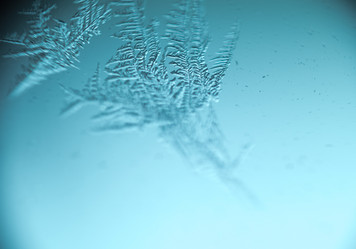 Similar image 7701708