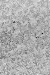 Similar image 7701754