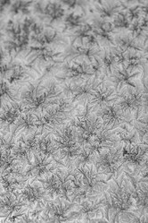 Similar image 7701756