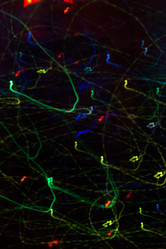 Similar image 7701783