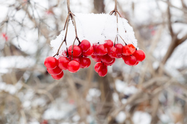 Similar image 7701786