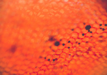 Similar image 7701791