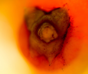 Similar image 7701794