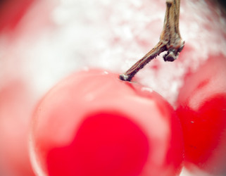 Similar image 7701795