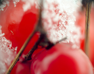 Similar image 7701796