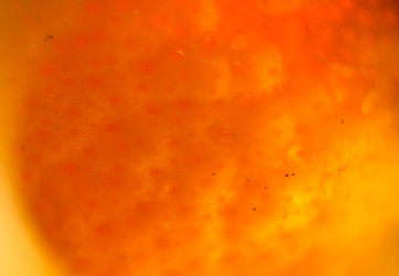 Similar image 7701801