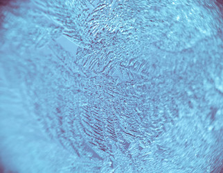 Similar image 7701810