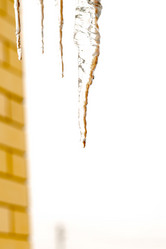 Similar image 7701827