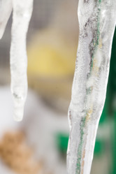 Similar image 7701828