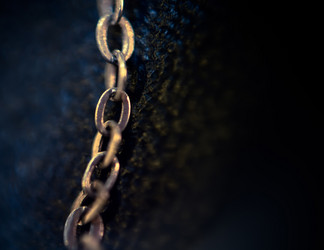 Similar image 7701833