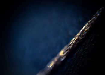 Similar image 7701834