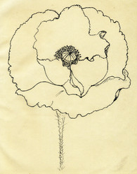 Similar image 7701837