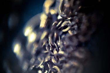 Similar image 7701841