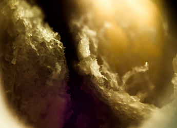 Similar image 7701860