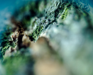 Similar image 7701873