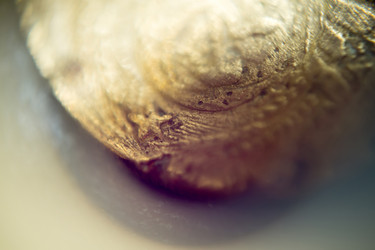 Similar image 7701879