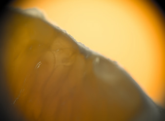 Similar image 7701888