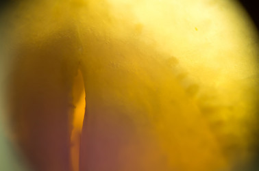 Similar image 7701890