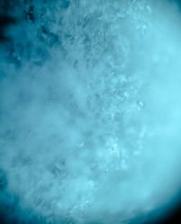 Similar image 7701891