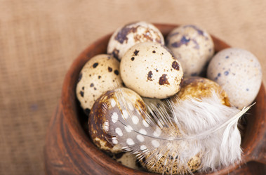 Similar image 7702020