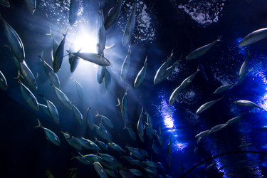 Similar image 7702027