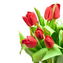 Similar image 7702028