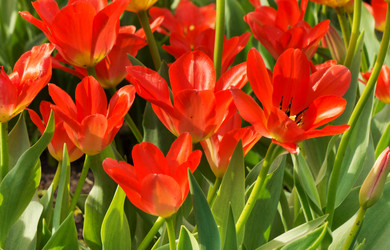 Similar image 7702029