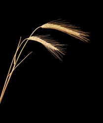 Similar image 7702031