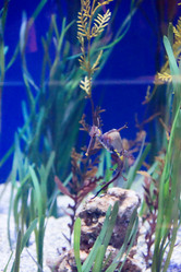 Similar image 7702034