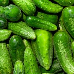 Similar image 7702068