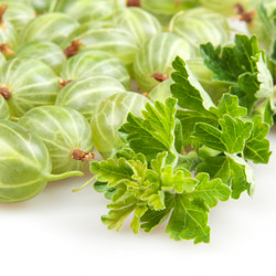 Similar image 7702069