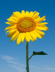 Similar image 7702071