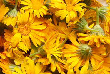 Similar image 7702072